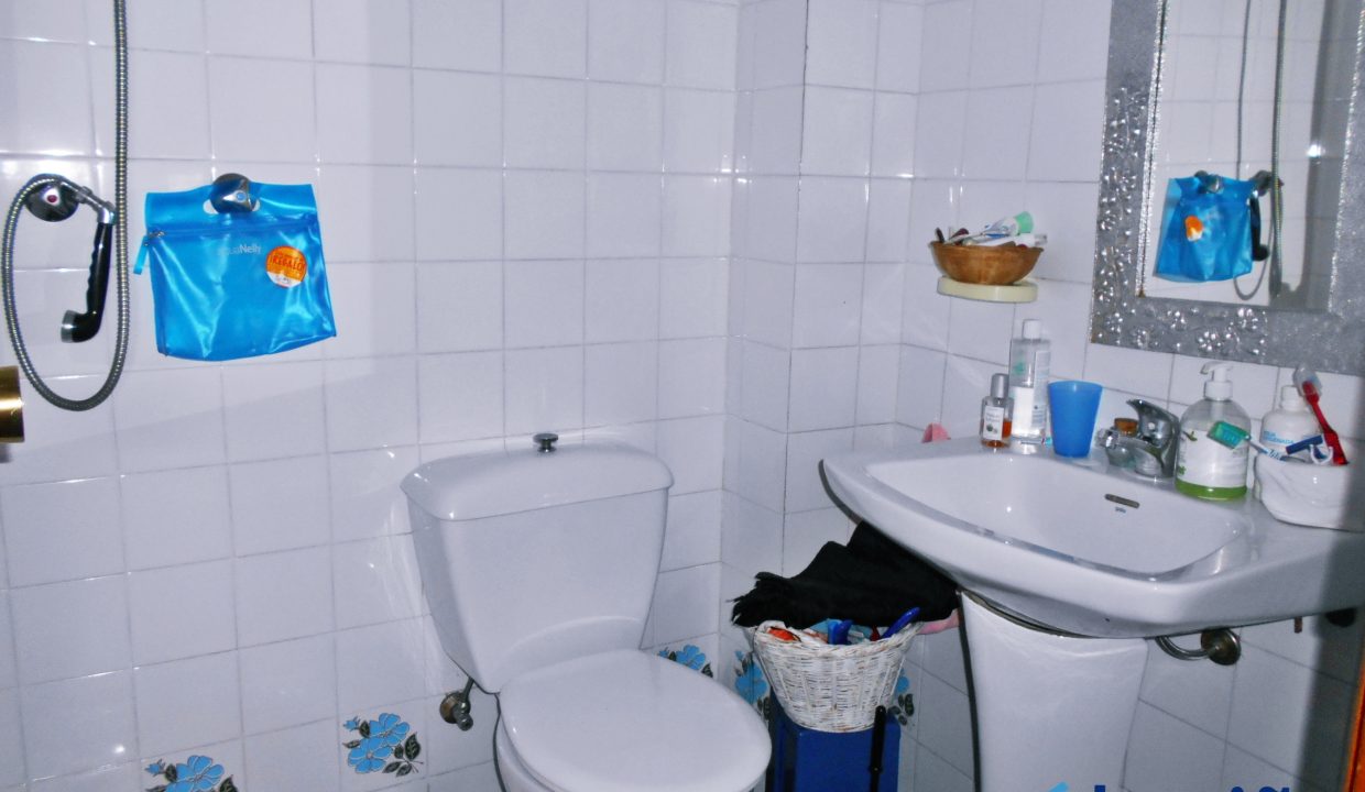 DSCN4164