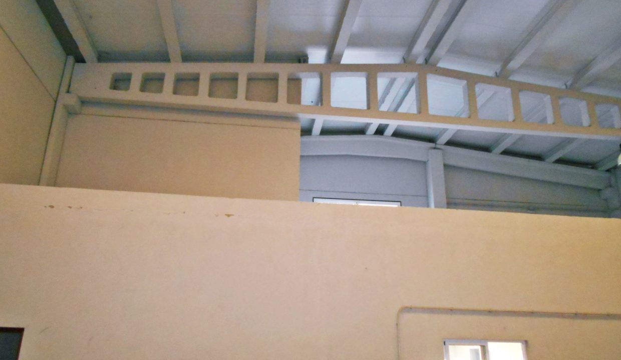DSCN5569