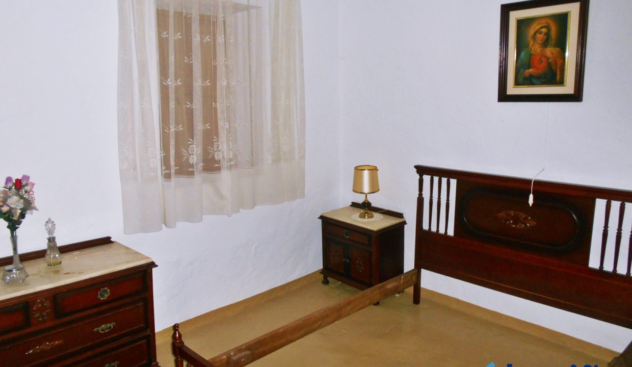 DSCN7221