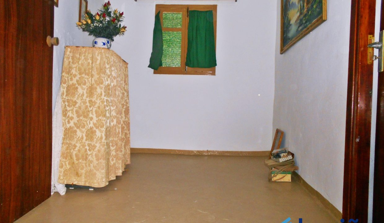 DSCN7227