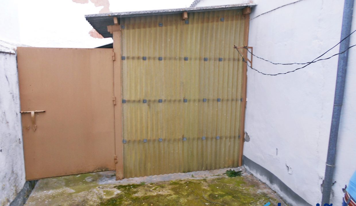 DSCN7229