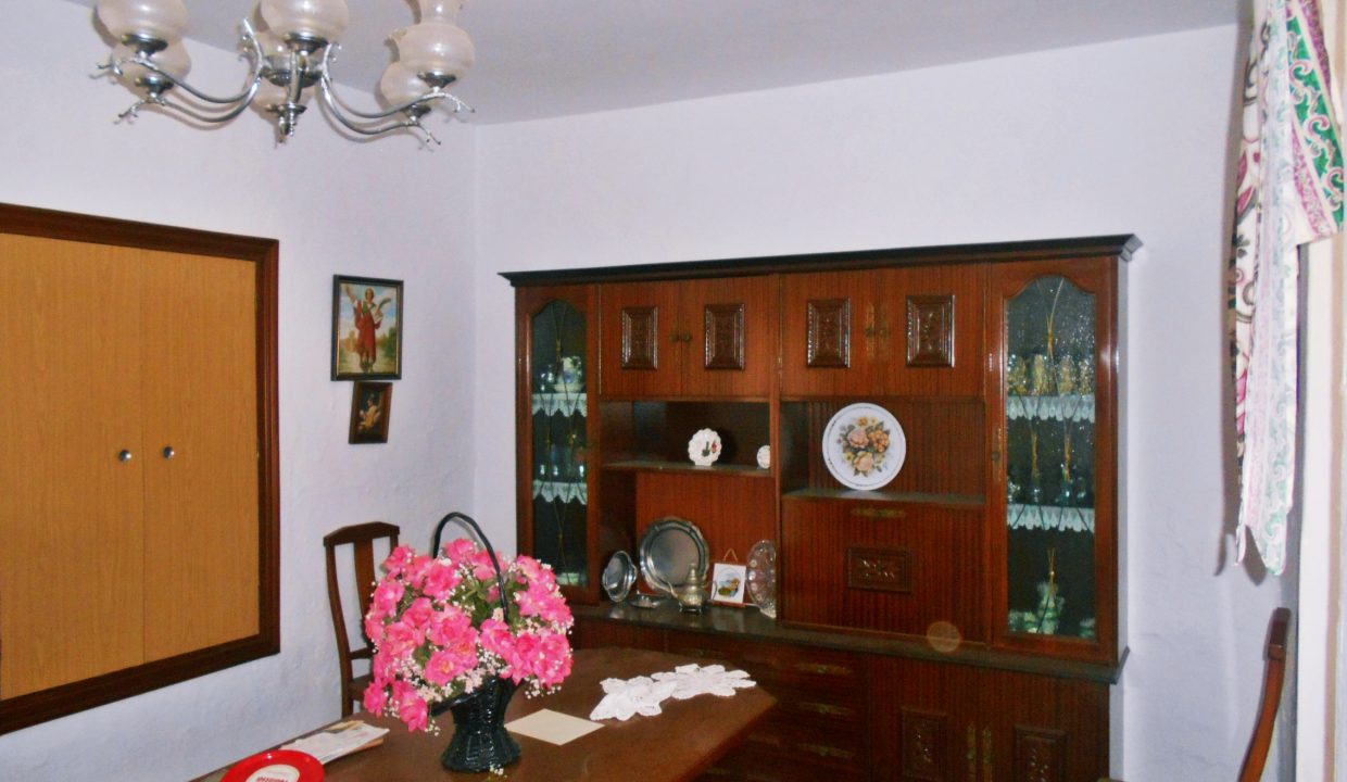 DSCN7507