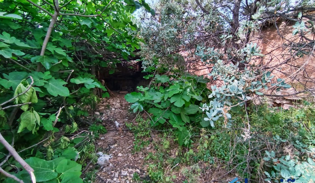 IMG-20230428-WA0071