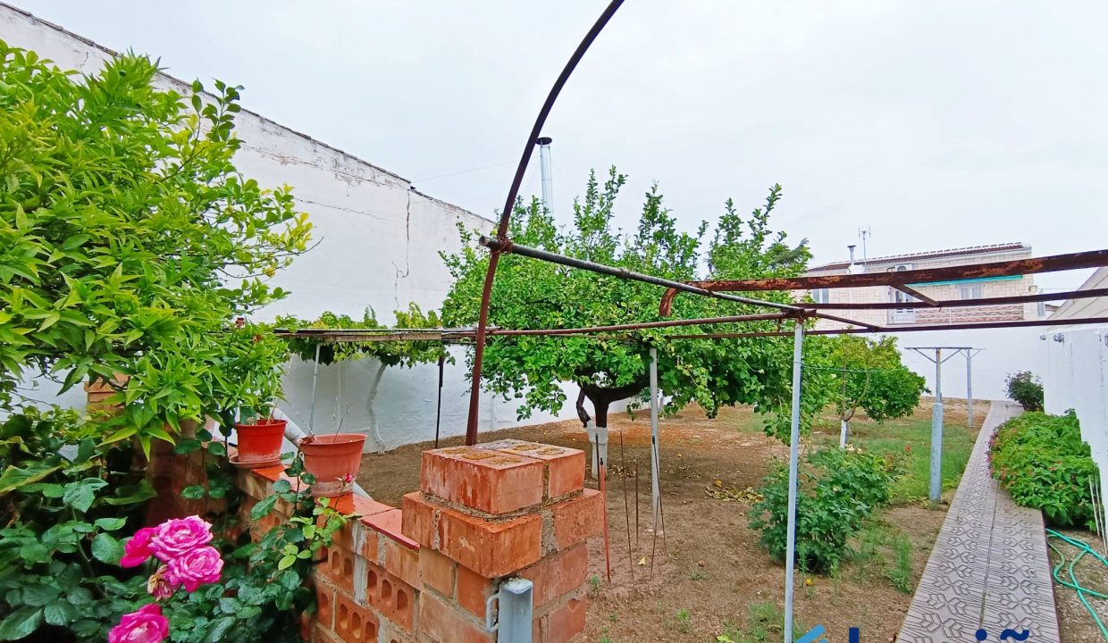 IMG-20230607-WA0080