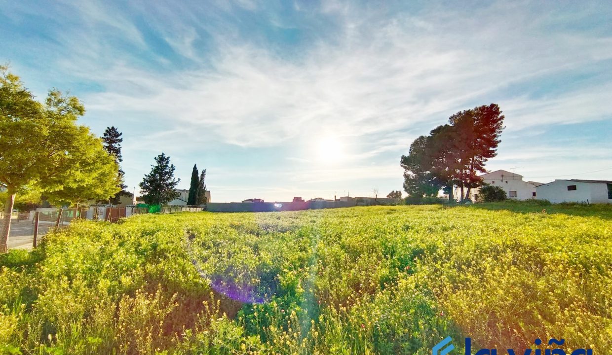 IMG-20240410-WA0041