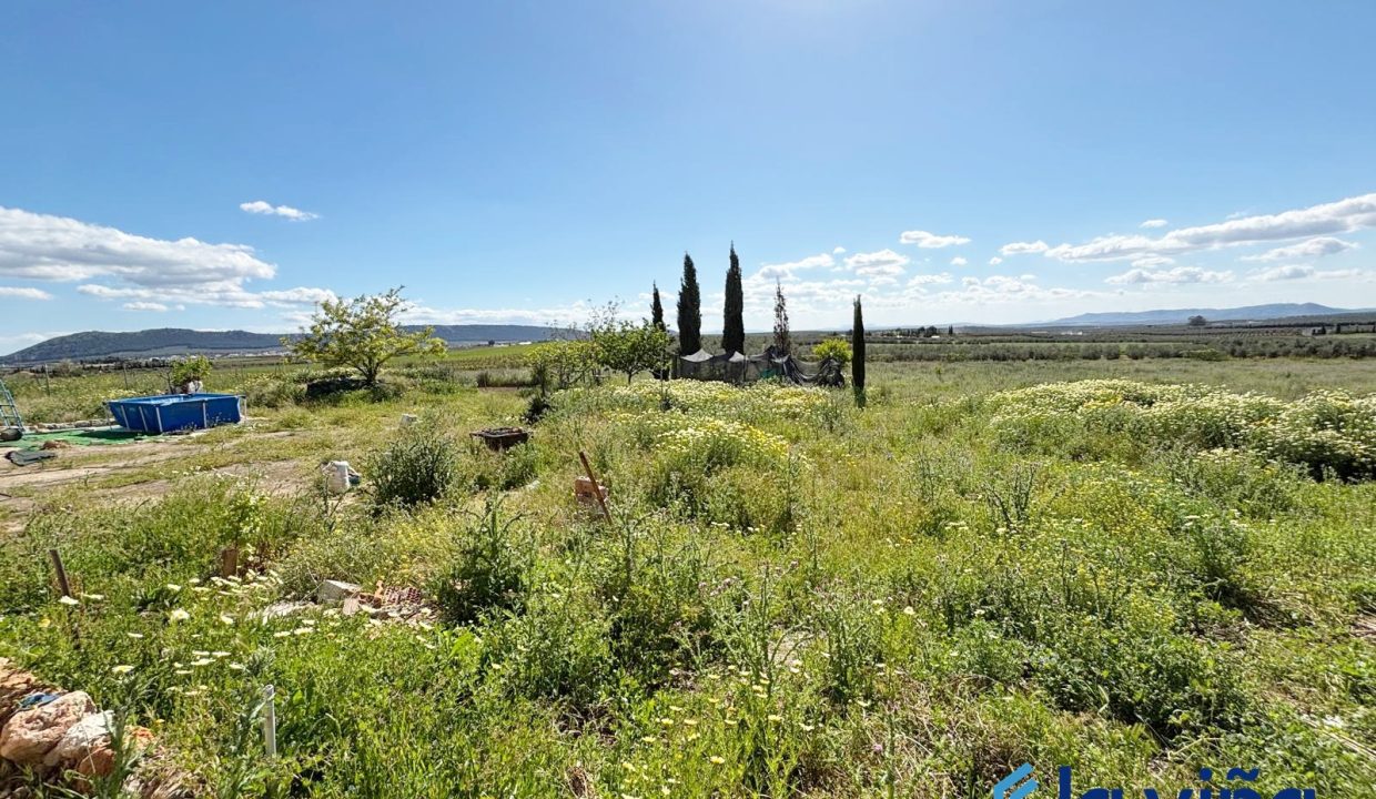 IMG-20250421-WA0051