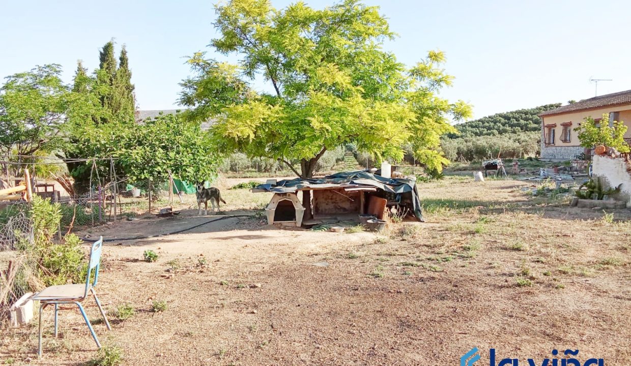 IMG-20250618-WA0019