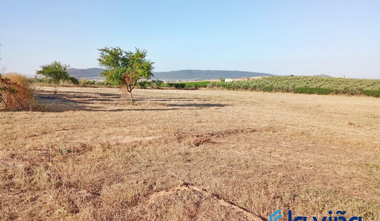 IMG-20250618-WA0025