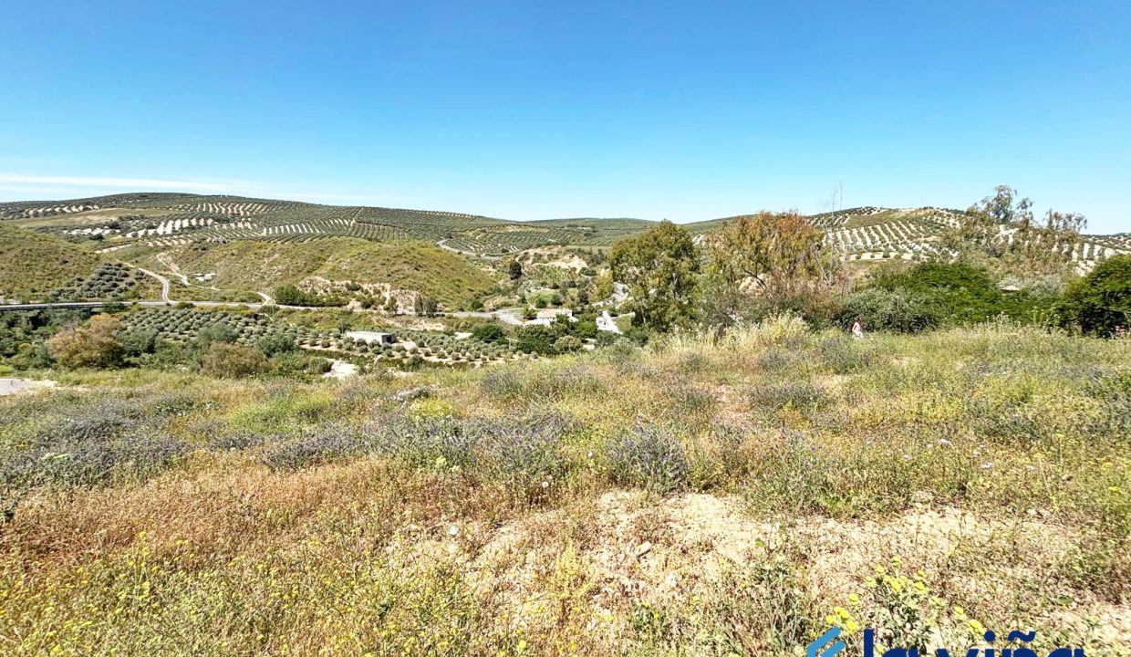 IMG-20250516-WA0053