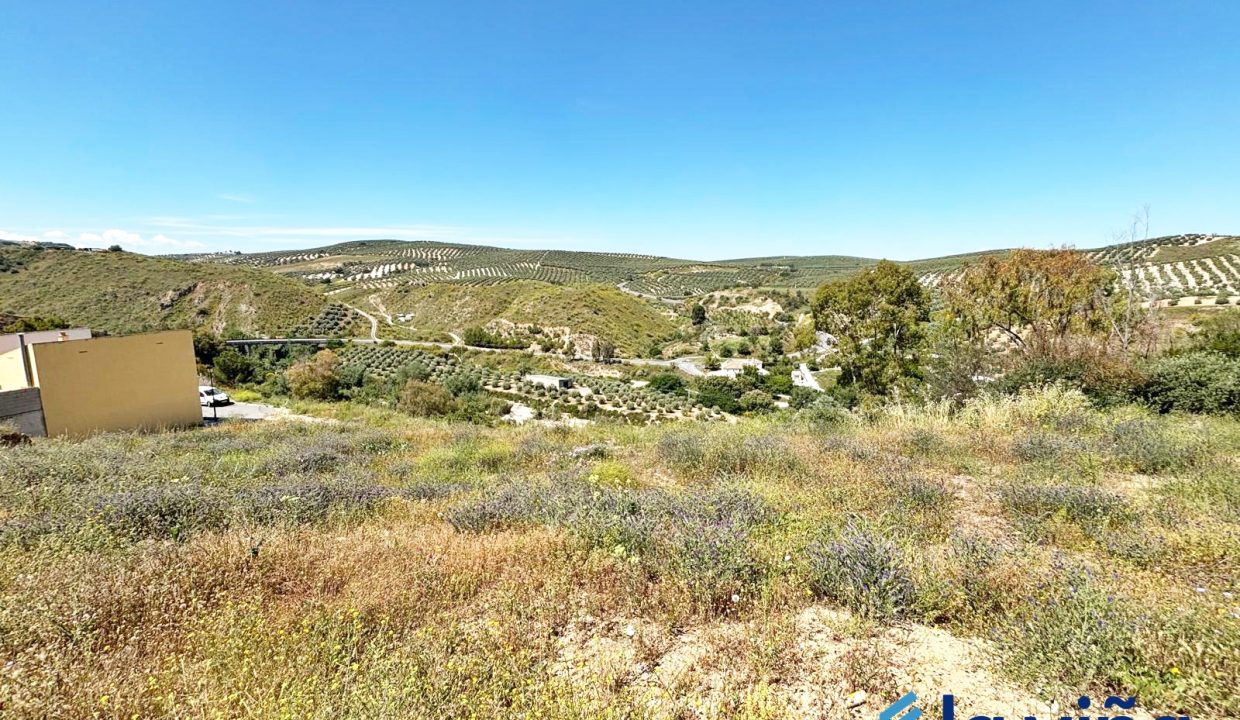 IMG-20250516-WA0057