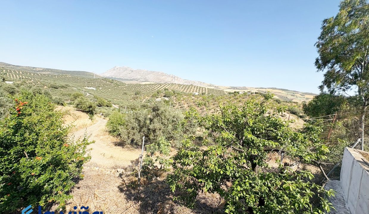 IMG-20250611-WA0024