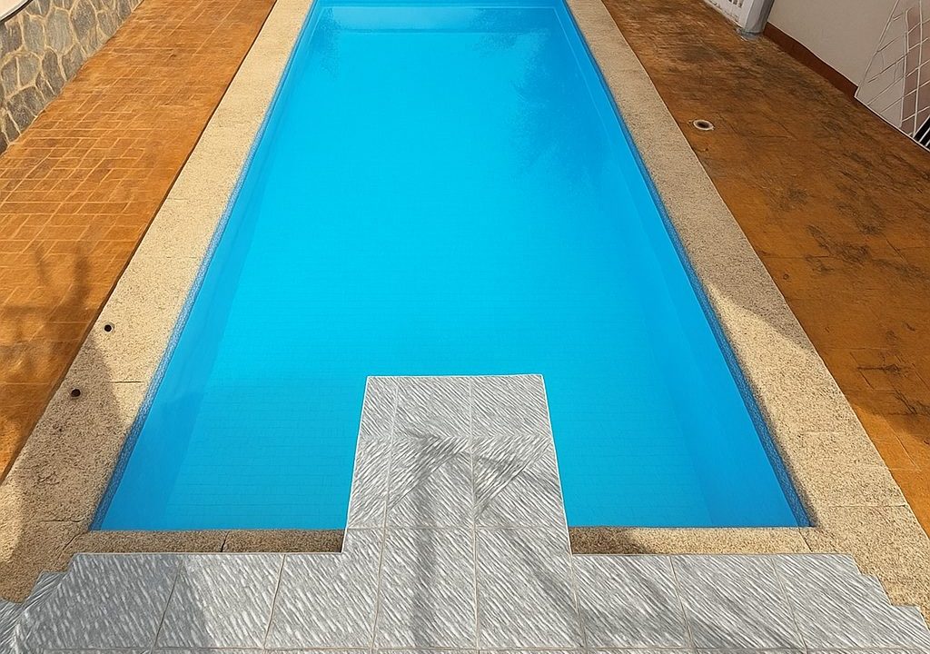 IMG1