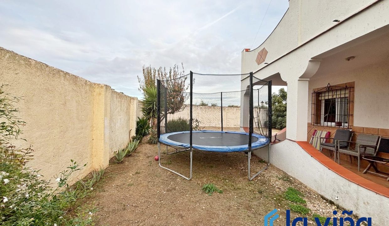 IMG-20251110-WA0011