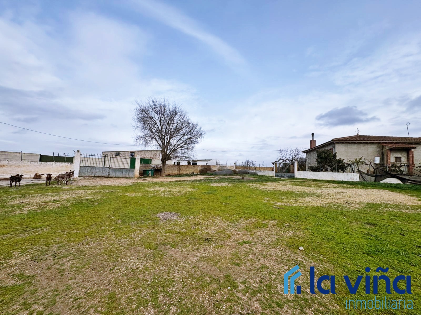 REF: 260126014 SE VENDE CASA CON GRAN TERRENO EN LOS CORRALES (SEVILLA)