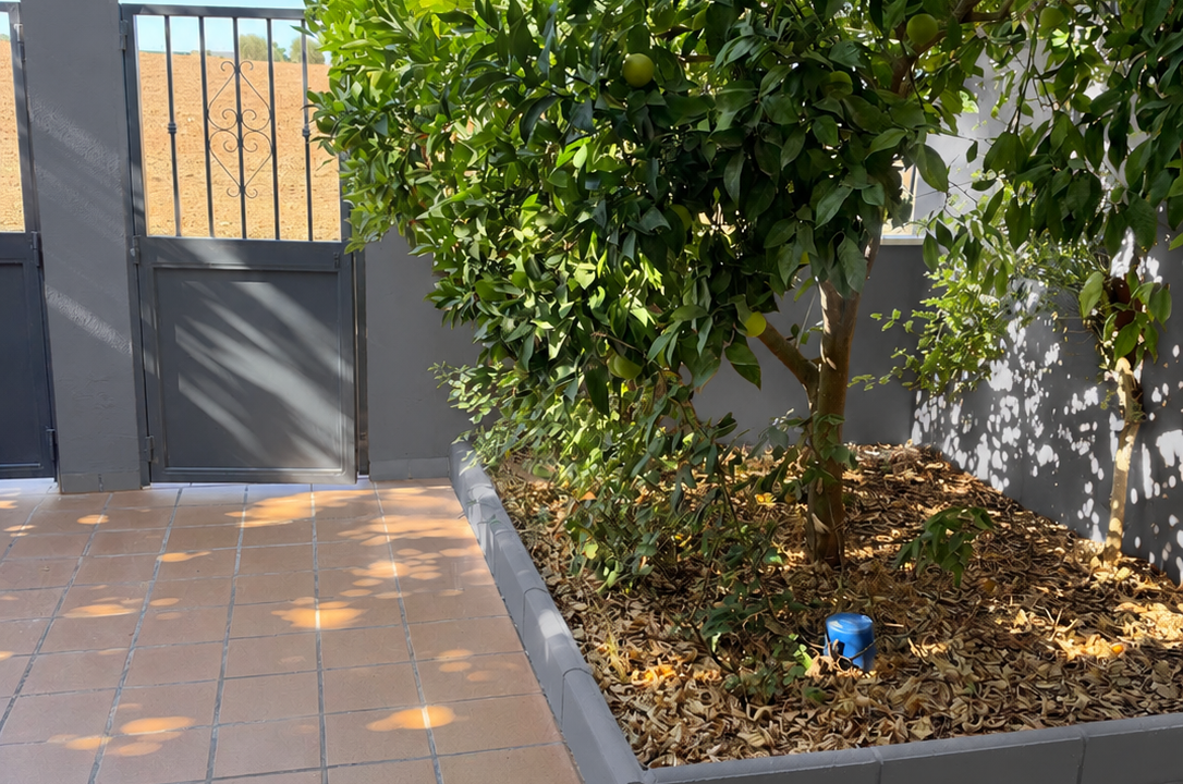 Patio mediterráneo con muro gris